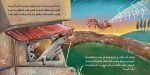 ⁦قصة مسابقة الأصوات⁩ - الصورة ⁦2⁩