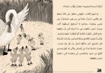 رواية بجعة في بحيرة الفلامنجو - Image 5