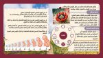 ⁦كتاب الإنسان في القرآن الكريم⁩ - الصورة ⁦3⁩