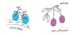 ⁦كتاب بصمة⁩ - الصورة ⁦3⁩
