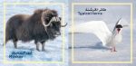 ⁦مجموعة كتابي الصغير (12 كتيب)⁩ - الصورة ⁦7⁩